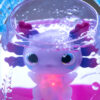 e2lifz9nby9pa7fbqkud Animagic Let's Glo Axolotl Bubble Reef