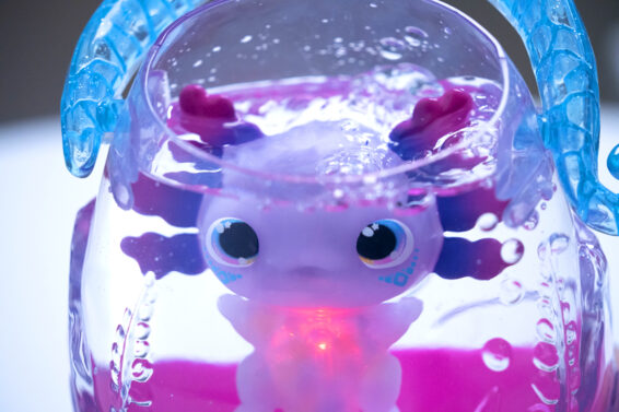 e2lifz9nby9pa7fbqkud Animagic Let's Glo Axolotl Bubble Reef