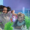 zwu1kr3uoskoilz68rio Animagic Let's Glo Axolotl Assortment